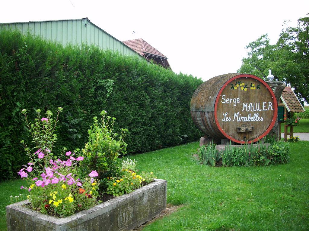 Appartement entier, Gîte Les Quetsches - Location vacances gîtes in Beblenheim, Région de Ribeauvillé