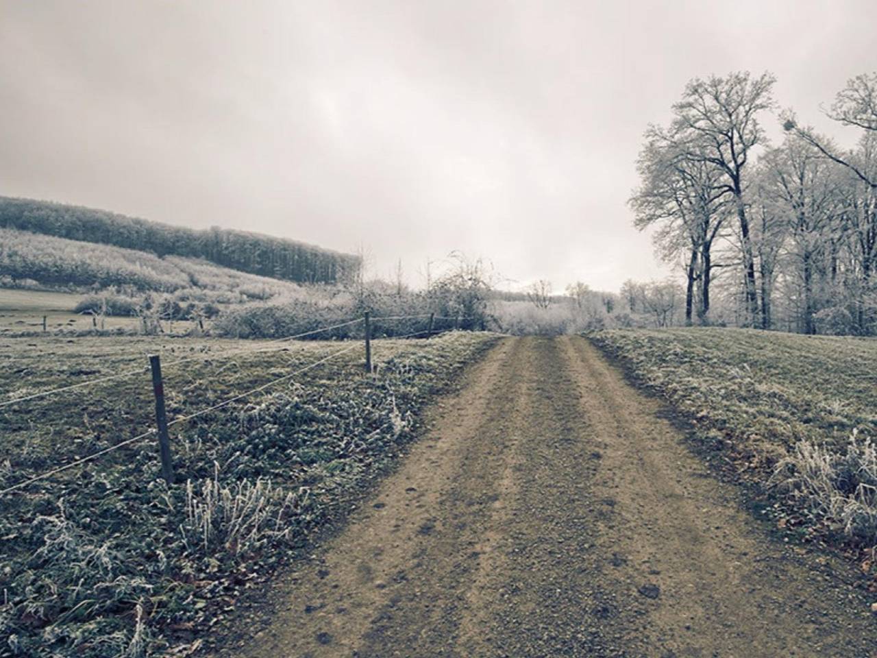 Ganze Wohnung, Ferienwohnung im Grünen nahe Wien mit Pool in Mauerbach, Traisental