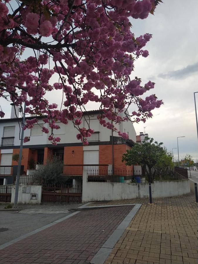 Casa de férias para 7 pessoas, com terraço e vista e ainda jardim em Chaves