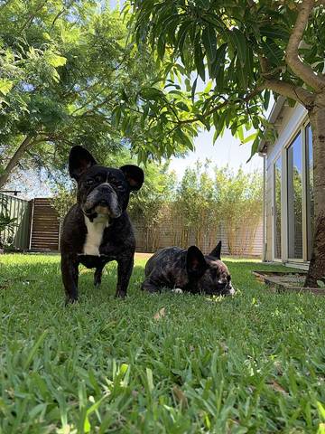 Holiday Home for 4 People in Anna Bay, Hunter Valley, Photo 2