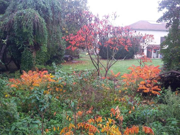 Gîte pour 6 personnes, avec jardin dans Beaurepaire - 2