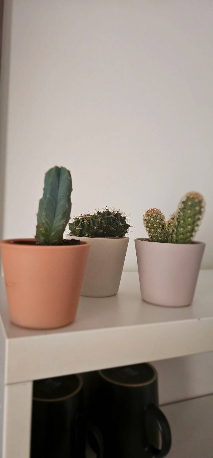 Habitación 'Doppia' con terraza compartida, Wi-Fi y aire acondicionado in Roma, Provincia de Roma