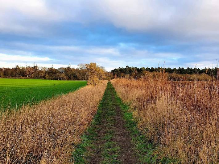 Ferienhaus für 6 Personen, mit Terrasse in Grenå Strand - 3