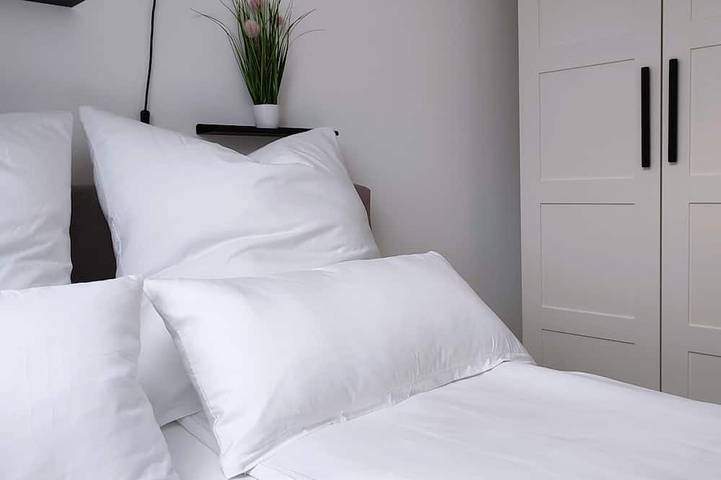 Ganze Wohnung, Modernes zentrales Apartment in Bruchsal, Kraichgau