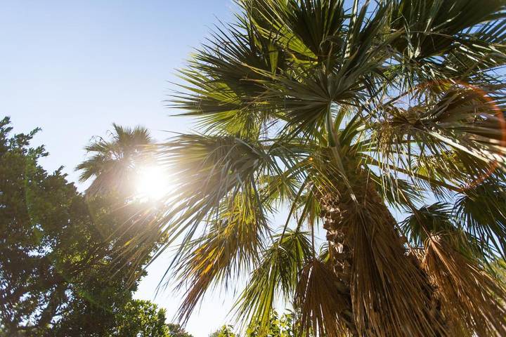 Location de vacances pour 8 personnes, avec piscine et jardin dans Tarco - 2