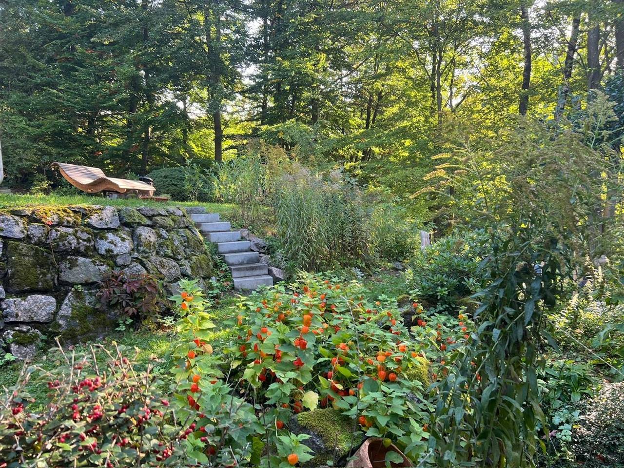Ganze Wohnung, Idyllisches Forsthaus am Waldrand in Zella-Mehlis, Rennsteig
