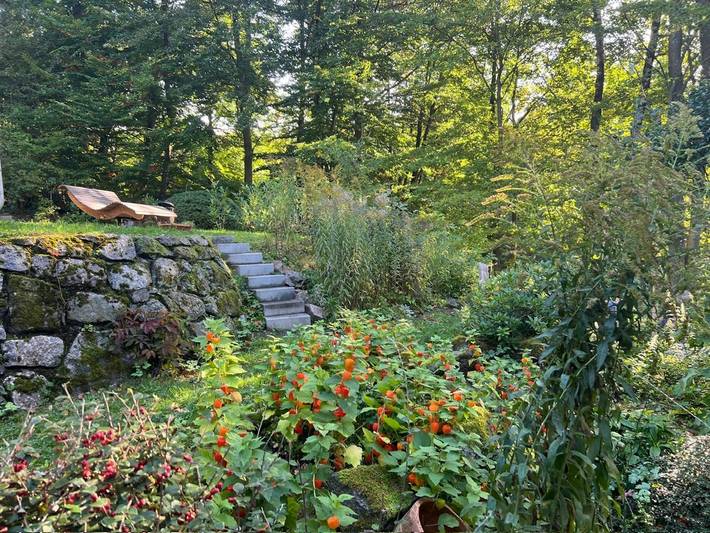 Ferienwohnung für 3 Personen, mit Garten, mit Haustier am Rennsteig - 3