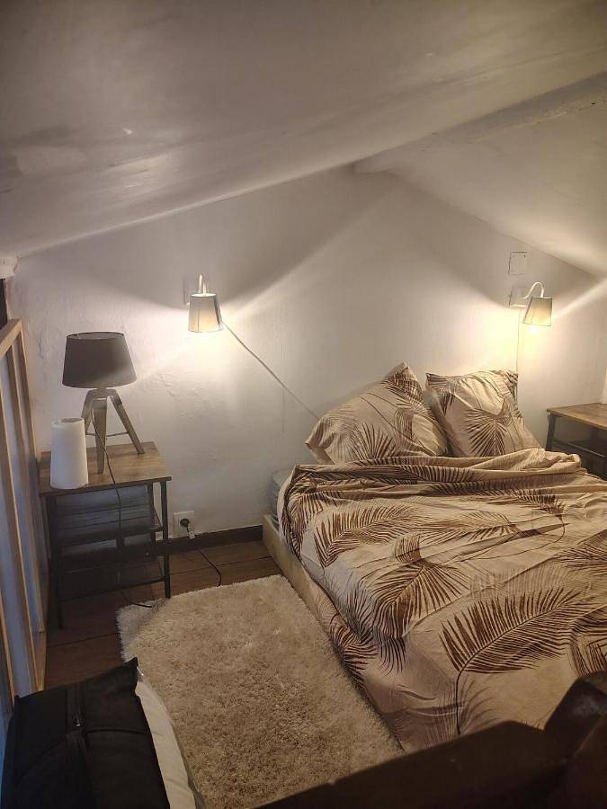 Appartement entier, Studio avec chambre au calme face à un champs in Castelginest, Toulouse et ses environs