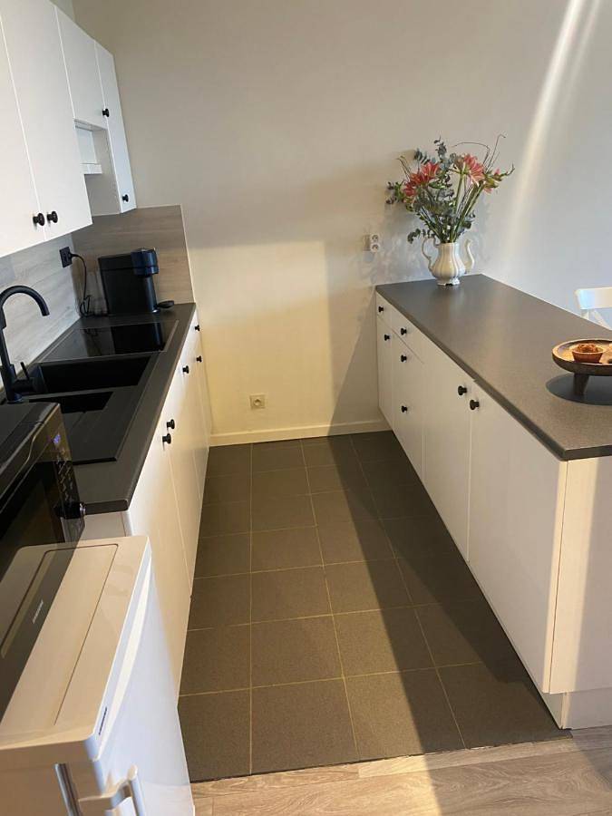 Gîte pour 2 personnes, avec vue et terrasse, animaux acceptés dans Westouter - 3