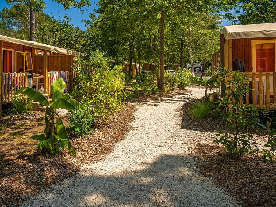 Camping L'Orée Du Bois - Mobilhome 6 personas - Mobil Home 2 camas 4/6 baños Terraza semicubierta sin aire acondicionado Tv in Hourtin, Parque natural regional del Médoc