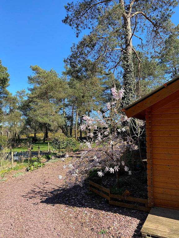 Le Bois des Elfes - Chambre au Rez de Chaussée in Mauron, Région de Vannes