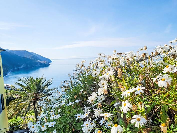 Apartamento entero, Marienkäfer in Corniglia, Vernazza Municipio