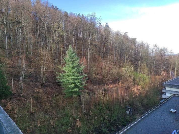 Ferienwohnung für 4 Personen, mit Balkon, kinderfreundlich in Bad Harzburg - 2