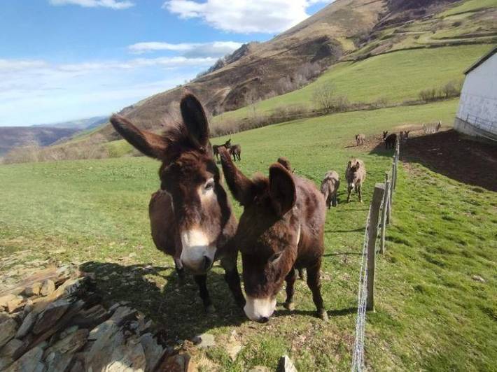 Location de vacances pour 6 personnes, avec jardin et vue à Arnéguy - 4