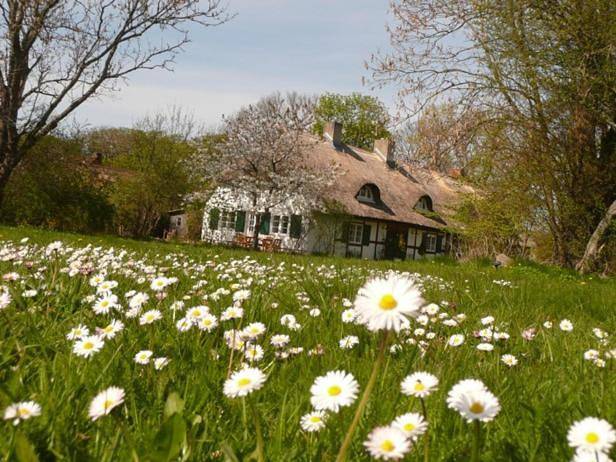 Ferienwohnung für 4 Personen, mit Terrasse und Garten sowie Sauna und Ausblick