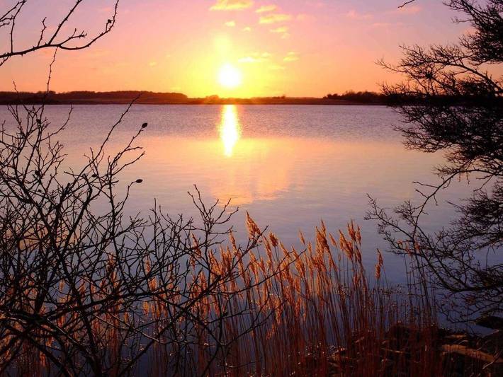 Ferienwohnung für 2 Personen, mit Garten, kinderfreundlich in Angeln Halbinsel - 4