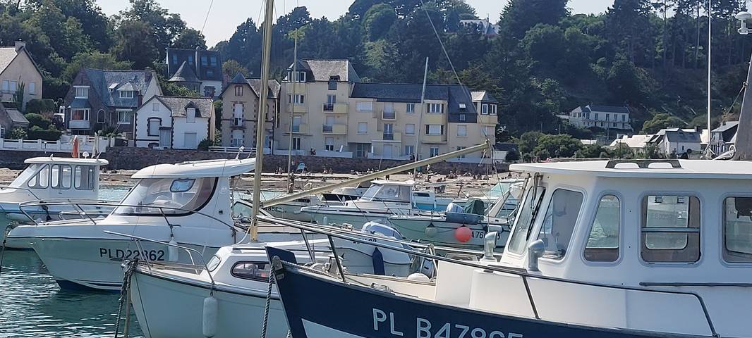 Gîte pour 8 personnes, animaux acceptés dans Plage de Bréhec - 4