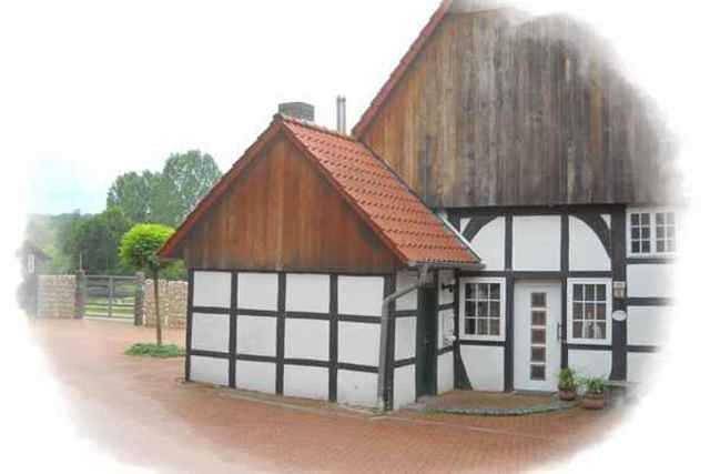 Gîte pour 6 personnes, avec vue et terrasse dans Ibbenburen - 2