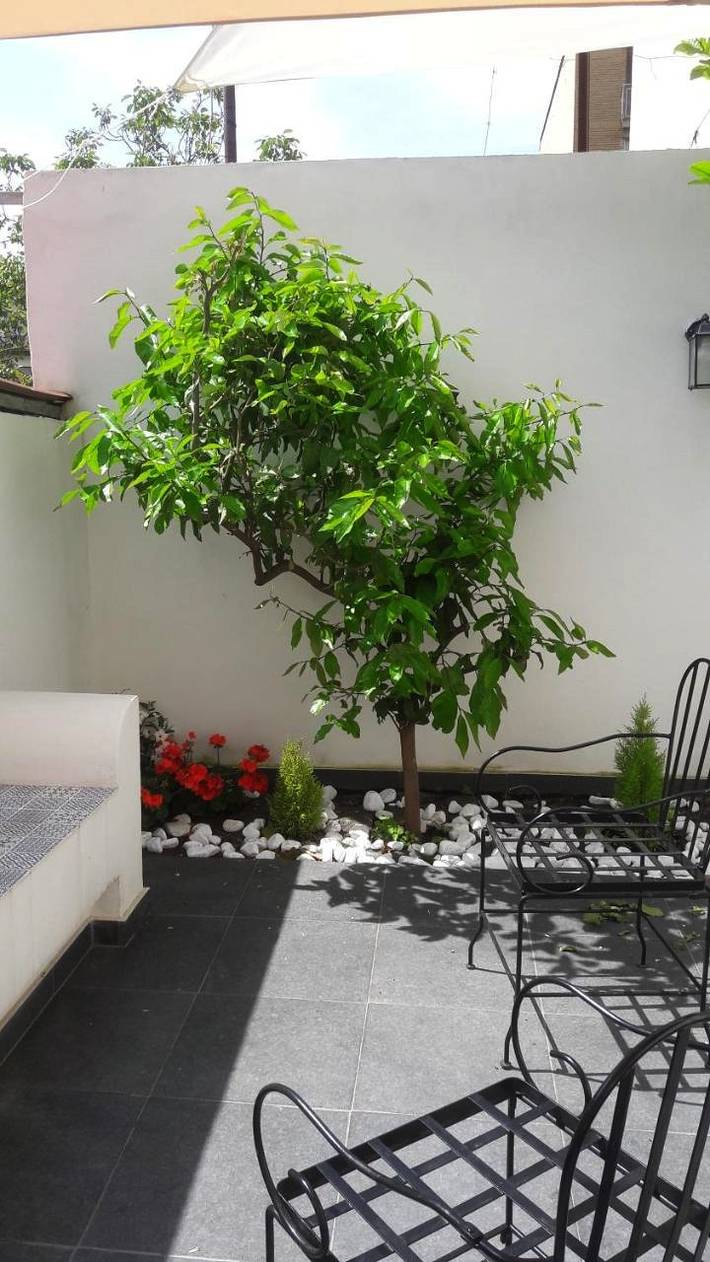 Chambre d’hôte pour 2 personnes, avec vue et jardin à Torre Annunziata - 4
