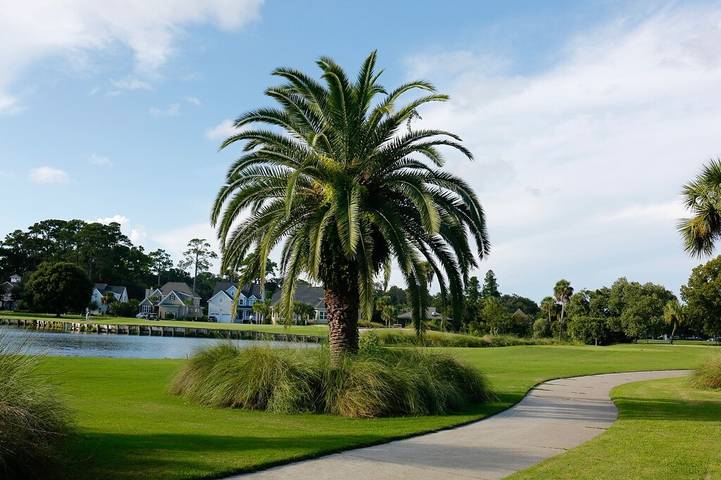 Vacation rental for 3 people, with terrace in St. Simons Island