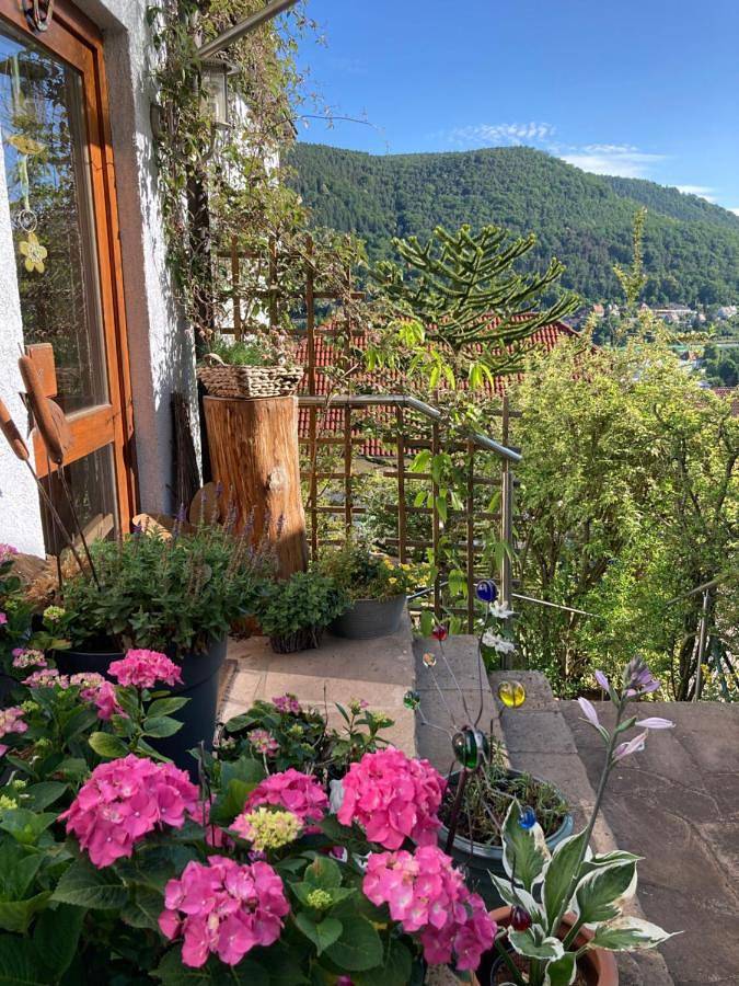 Ganze Wohnung, Ferienwohnung mit Weitblick in Lambrecht, Saar-Nahe-Bergland