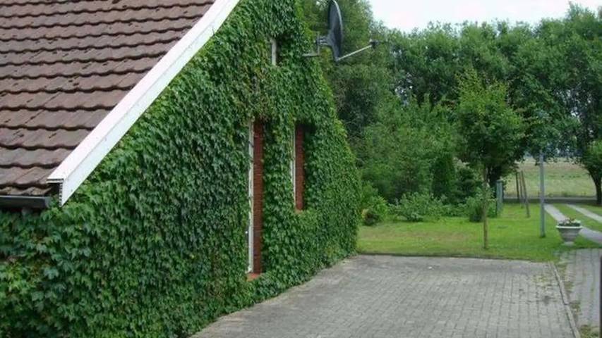 Ferienhaus für 7 Personen, mit Terrasse und Garten im Emsland - 2