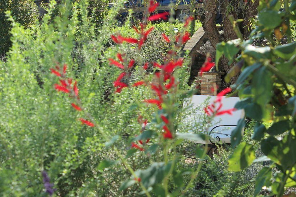 Apartamento vacacional entero, Holiday flat Ariete in Montone (Italia), Valtiberina