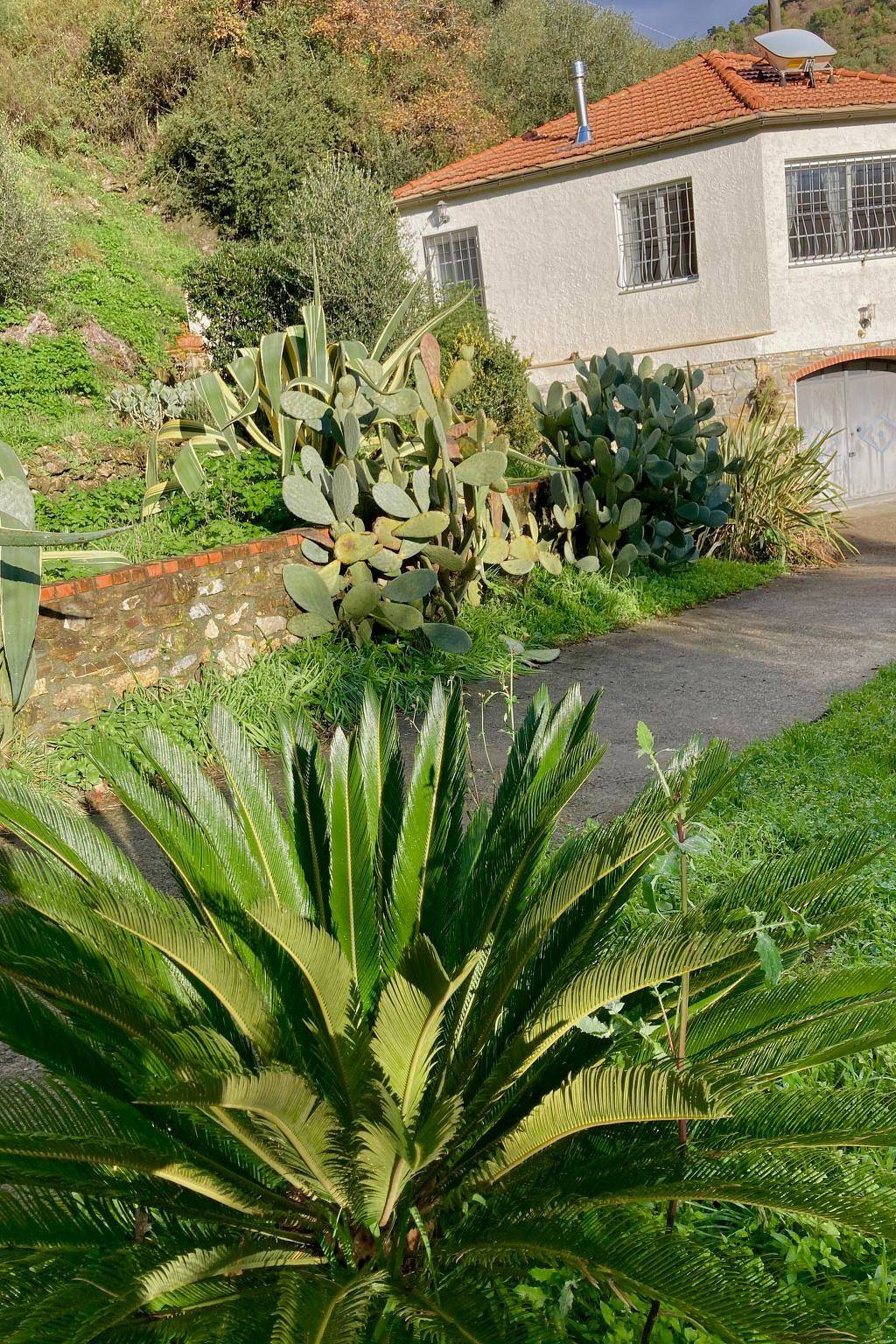 Casa Mediteraneo in Diano San Pietro, Riviera di Ponente