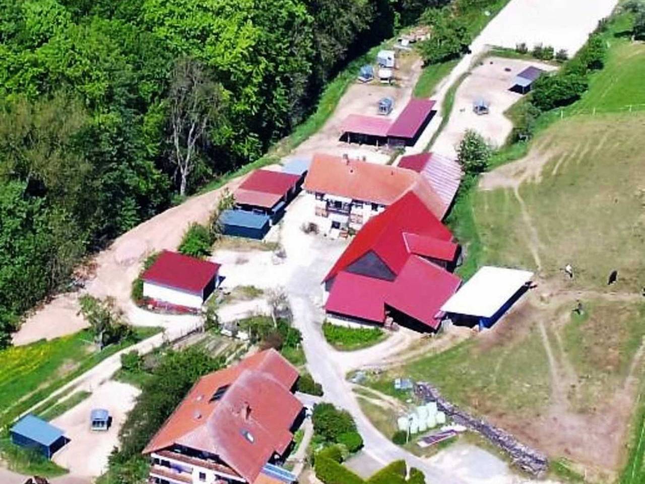 Ferienhaus Pferdehof Dörsam in Mörlenbach, Bergstraße