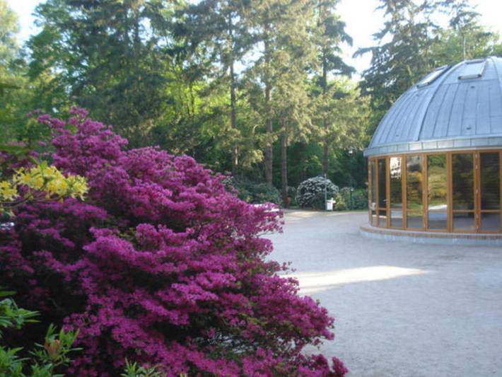Ferienwohnung für 3 Personen, mit Garten und Terrasse in der Rostocker Heide - 3