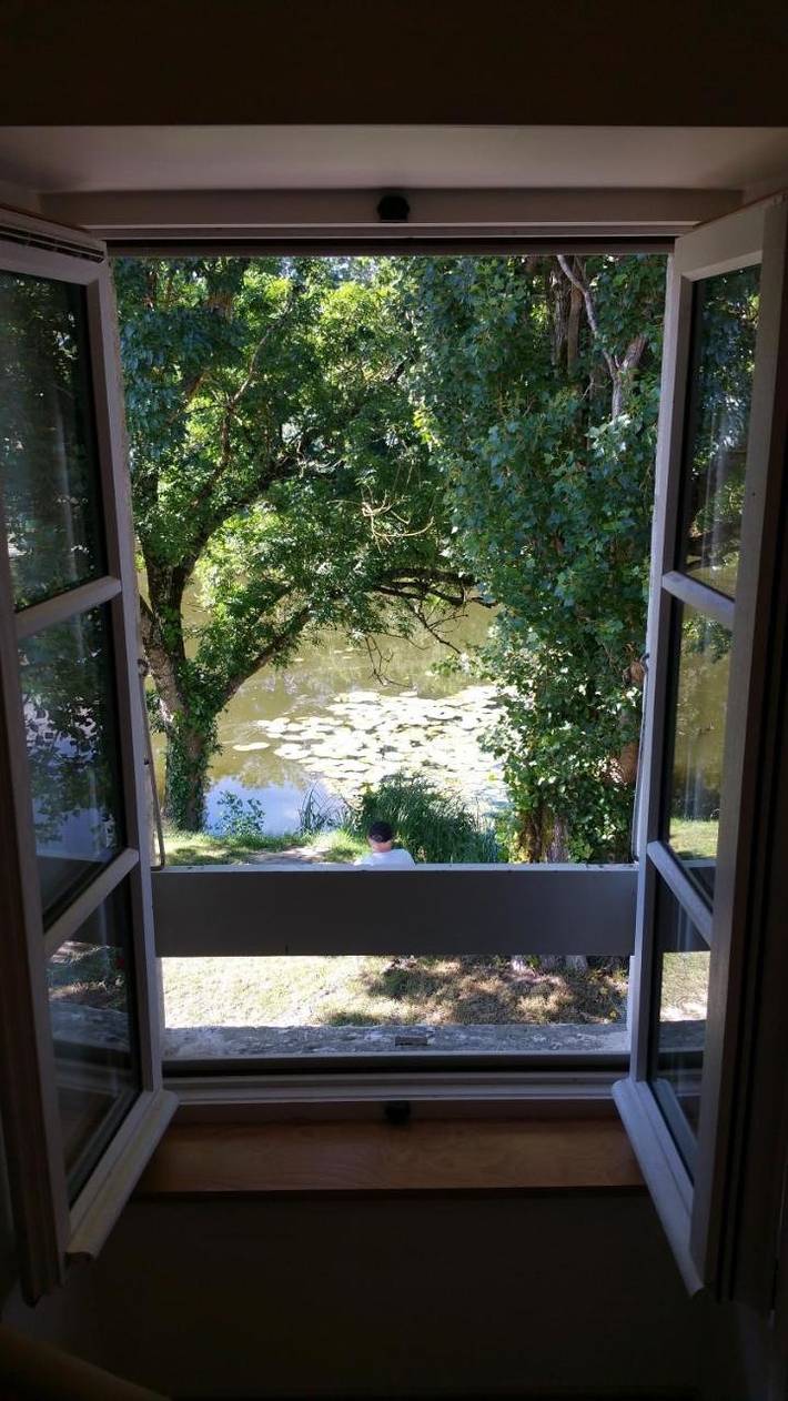 Hôtel pour 2 personnes, avec jardin et vue, animaux acceptés à Velluire - 2
