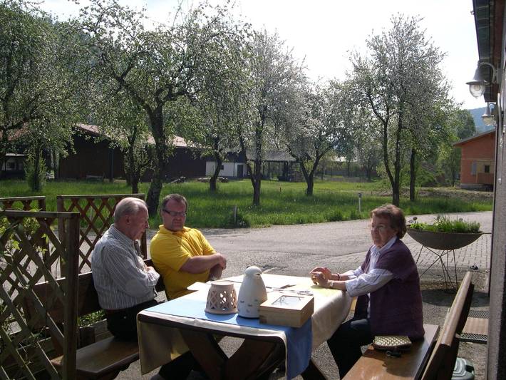 Gästehaus Donautal - Donausteig und bett+bike - Traun 5, Einzelzimmer Dusche/Wc in Vichtenstein, Innviertel