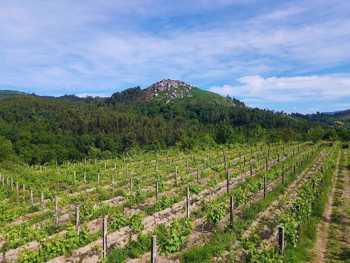 Casa rural para 4 personas, con terraza además de piscina y jardín en Distrito de Braga - 2