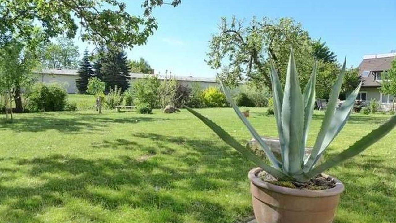 Ganze Ferienwohnung, Ferienwohnung für 6 Personen (92 m²) in Neubrandenburg in Tollensesee, Neubrandenburg