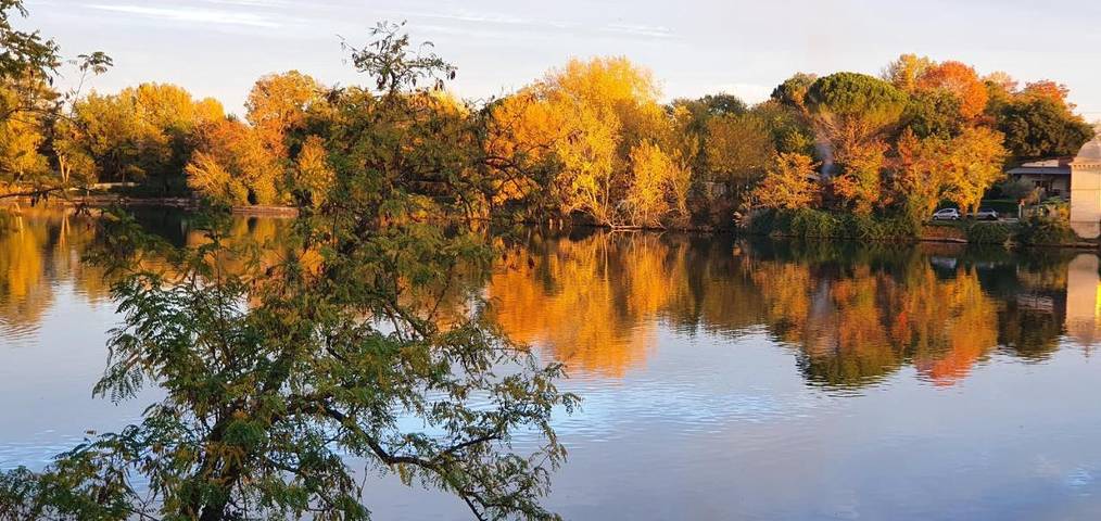 Gîte pour 4 personnes, avec piscine ainsi que vue et jardin à Labastide-de-Lévis - 3