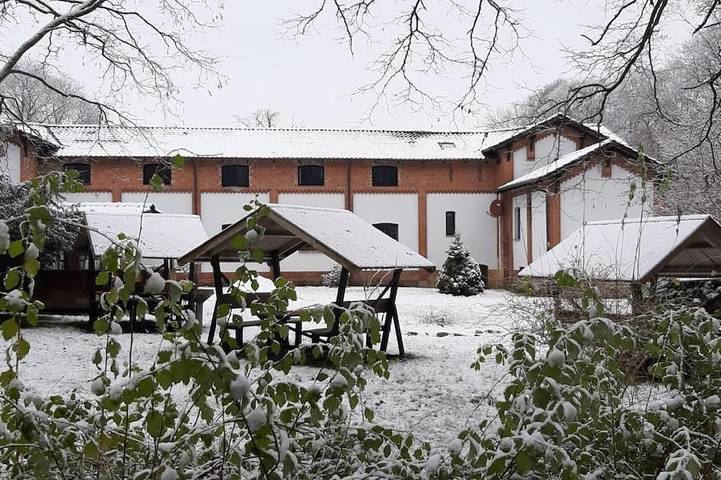 Ferienwohnung für 4 Personen, mit Garten, mit Haustier in Kuchelmiß - 4