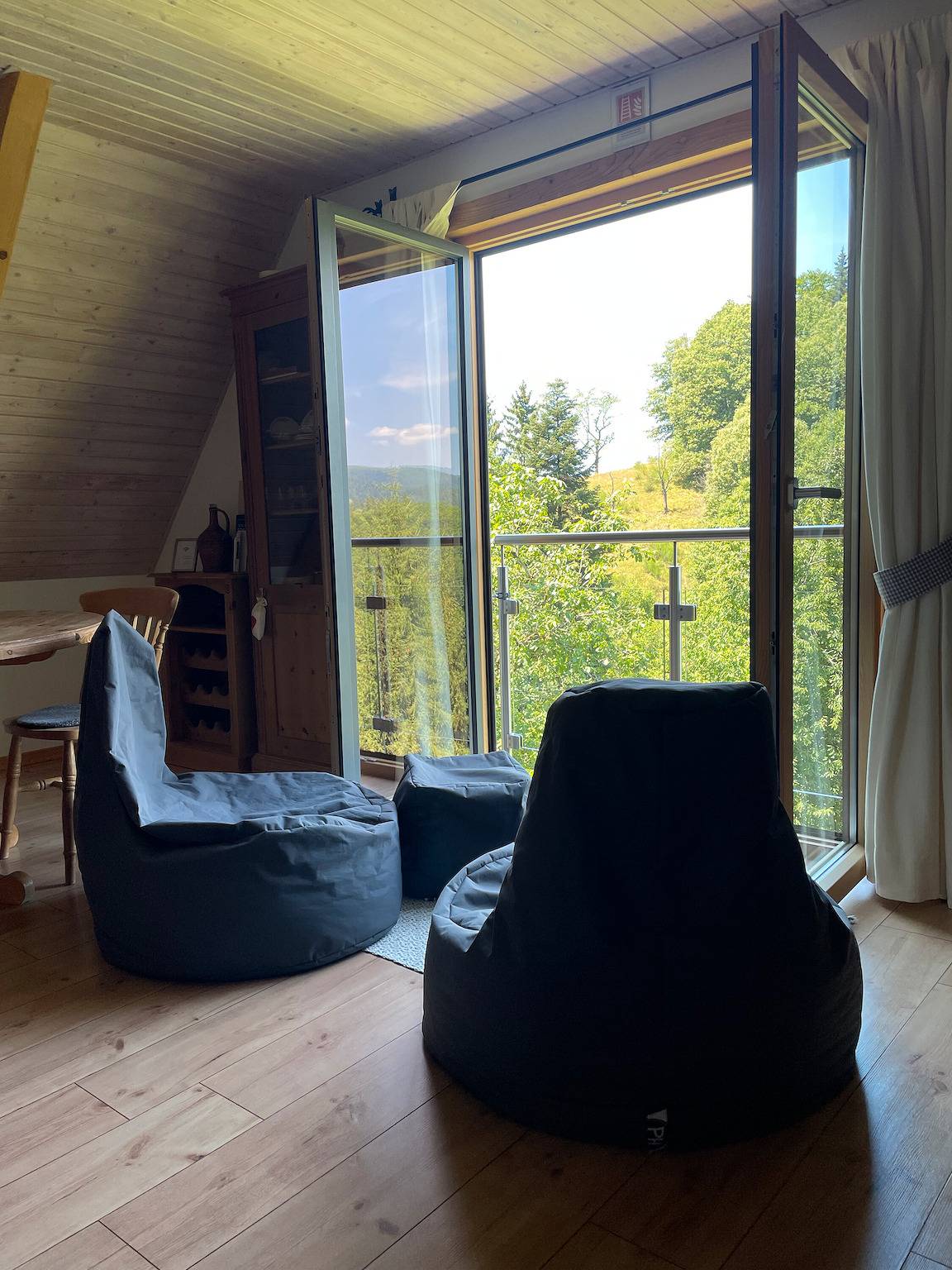 Ganze Wohnung, Ferienwohnung 'Im Holzhau' mit Bergblick, gemeinsamer Terrasse und Wlan in Bad Peterstal-Griesbach, Mittlerer Schwarzwald