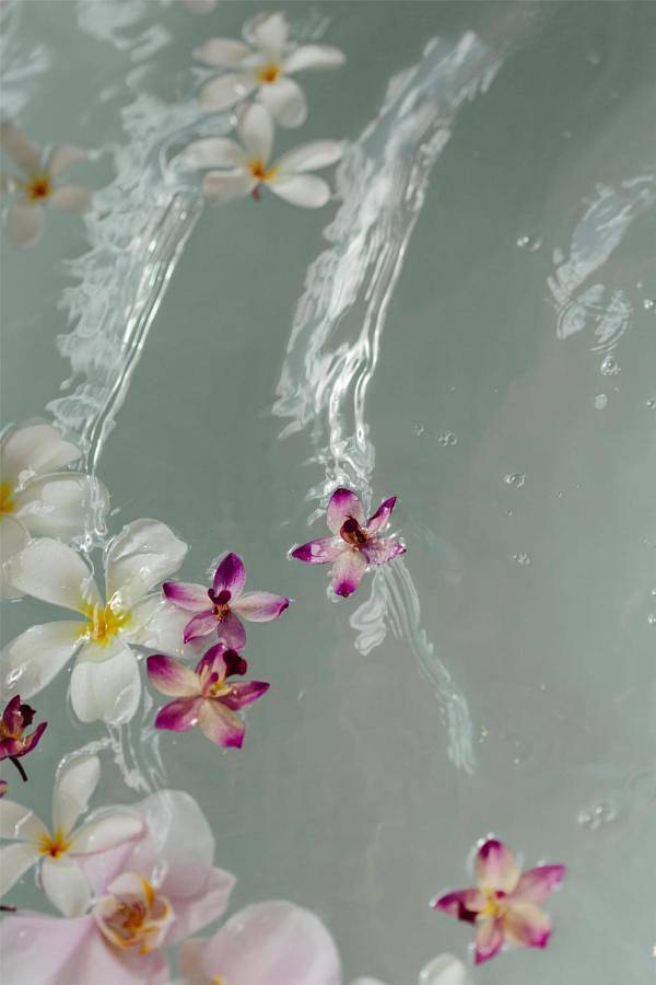 Bungalow für 4 Personen, mit Pool und Whirlpool sowie Garten und Sauna auf Maui