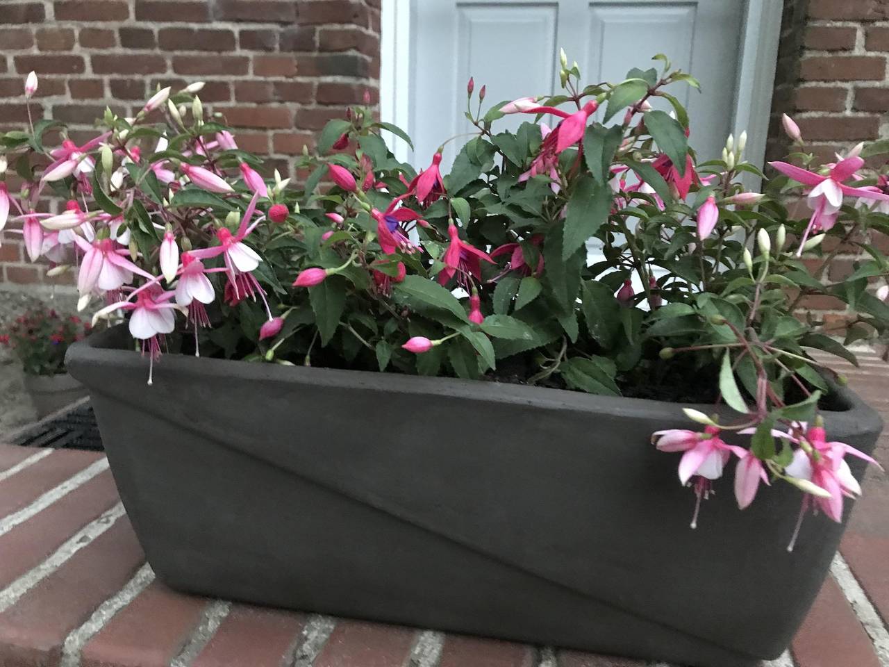 Ganze Ferienwohnung, Ferienwohnung Landhaus in Maasbüll, Flensburger Förde