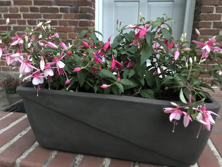 Ferienwohnung für 2 Personen in Hürup - 3