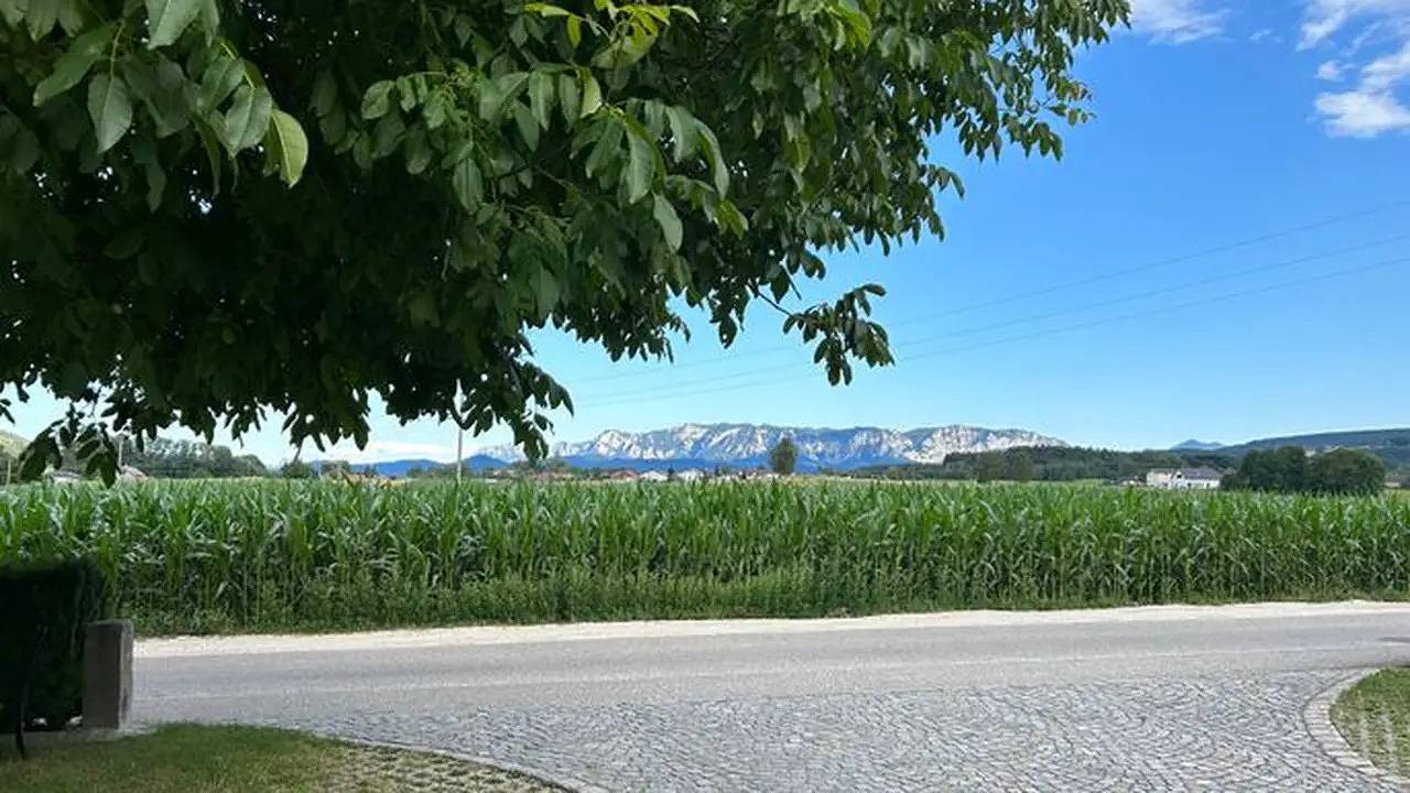 Ganze Ferienwohnung, Ferienwohnung für 8 Personen (160 m²) in Sankt Georgen im Attergau in Salzkammergut-Berge, Sankt Georgen im Attergau