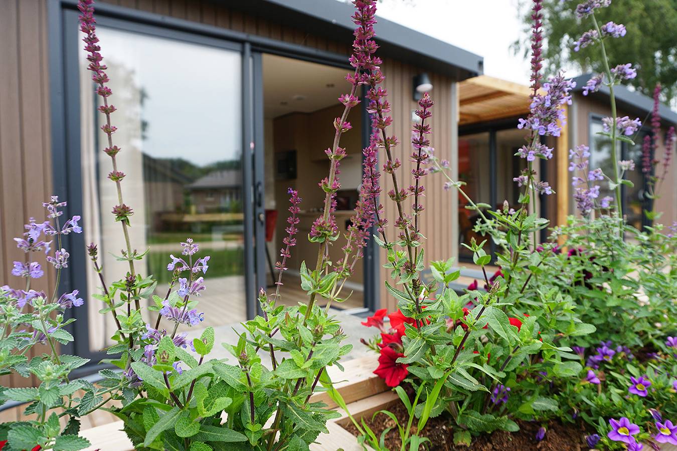 Recreatiepark De Boshoek — Hotel-Lodge für zwei Personen in Veluwe