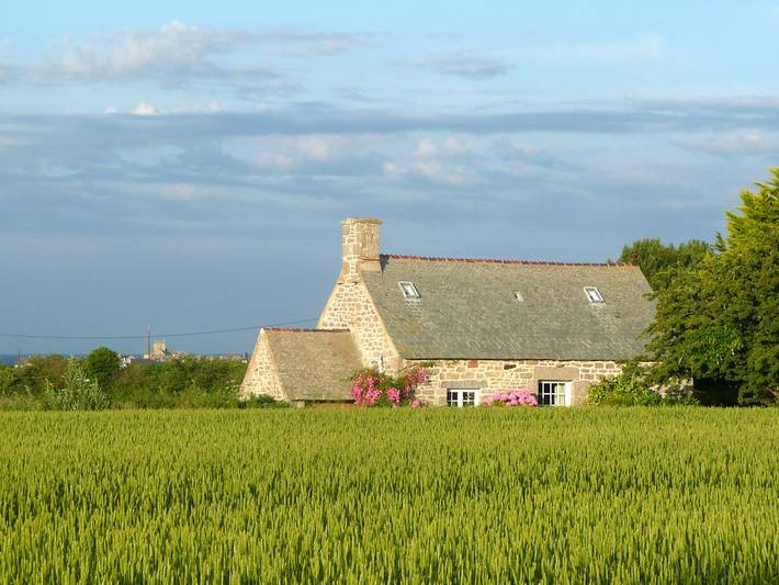 Gîte pour 3 personnes, avec jardin à Gatteville-le-Phare - 3