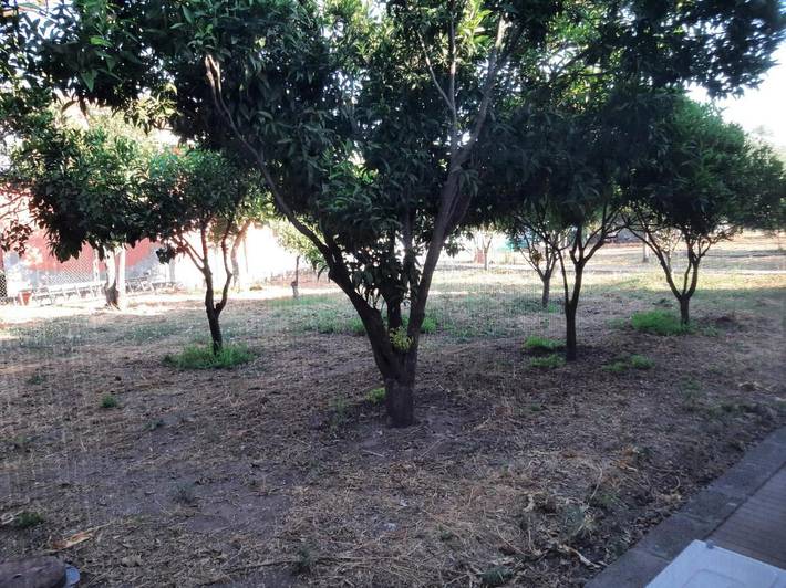 Maison d’hôte pour 2 personnes, avec jardin ainsi que vue et terrasse à Sassari - 3