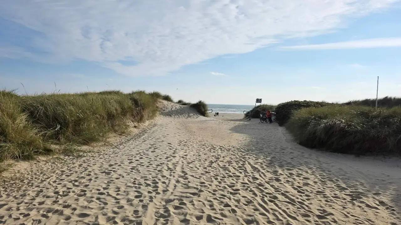 Ferienhaus für 6 Personen (45 m²) in Blåvand in Blåvand, Varde (Danmark)