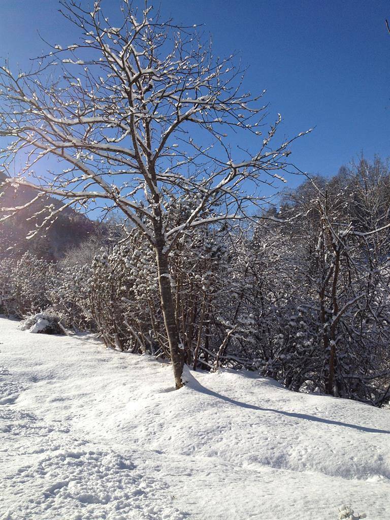 Ganze Ferienwohnung, Ferienwohnung Kirchbrücke in Stubaier Alpen, Mieders