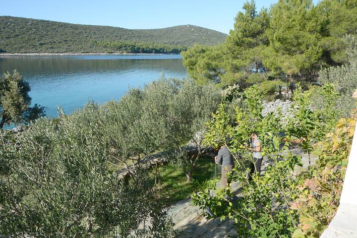 3-Zimmer-Haus am Strand Bucht Zincena, Pasman K-12982 in Kraj, Pasman