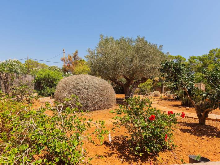 Ferienhaus für 4 Personen, mit Garten in Santanyí - 4