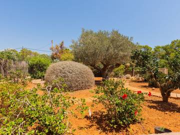 Ferienhaus in Santanyí, Mallorca Süden für 4 