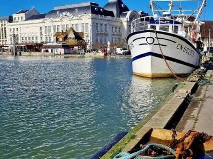 Ganzes Studio, Studio im Stadtzentrum, Haustiere erlaubt - 2 Pers. in Trouville-sur-Mer, Lisieux und Umgebung